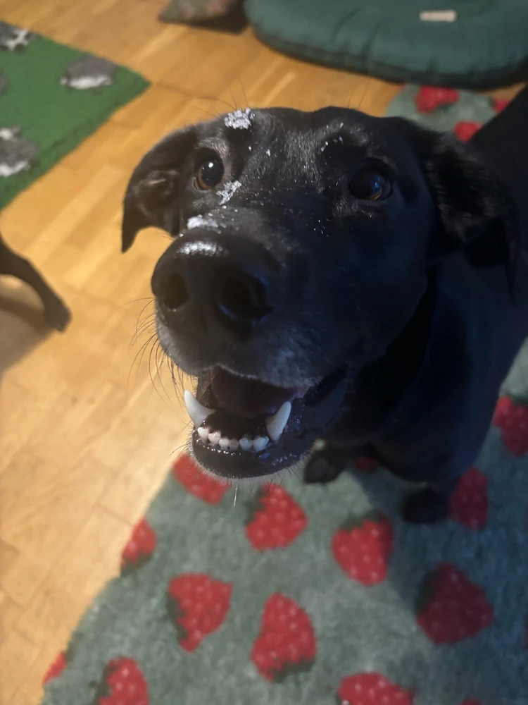 GIF dodany przez Matylda