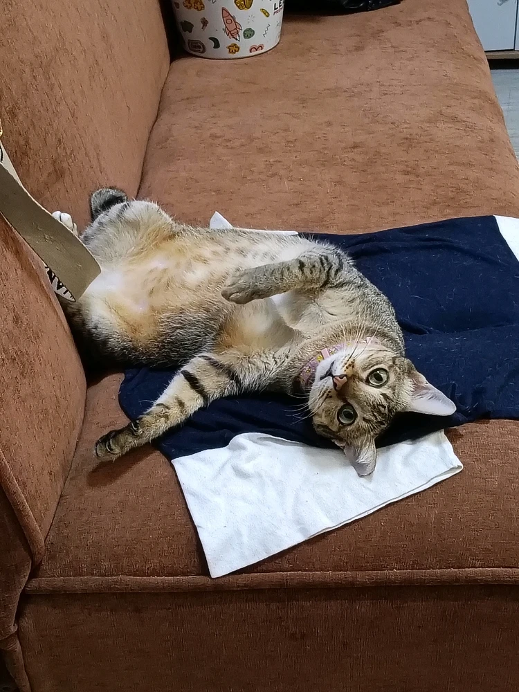 GIF uploaded by Maria