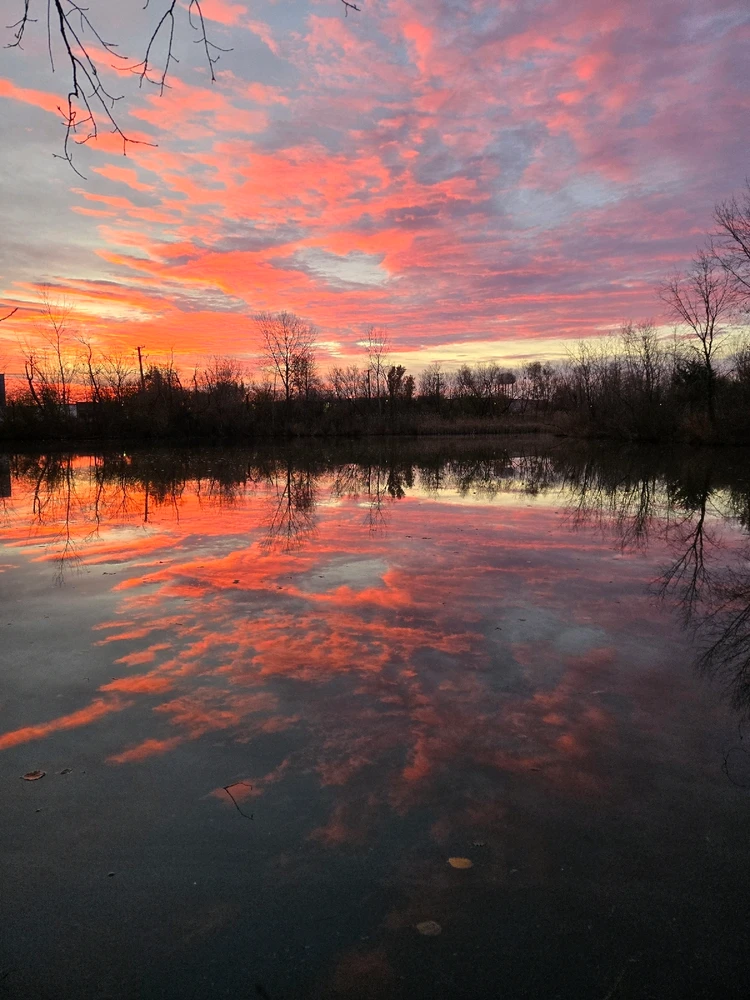 GIF uploaded by Randy