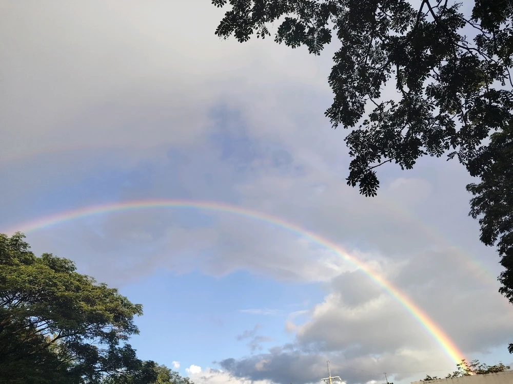 Image uploaded by Love