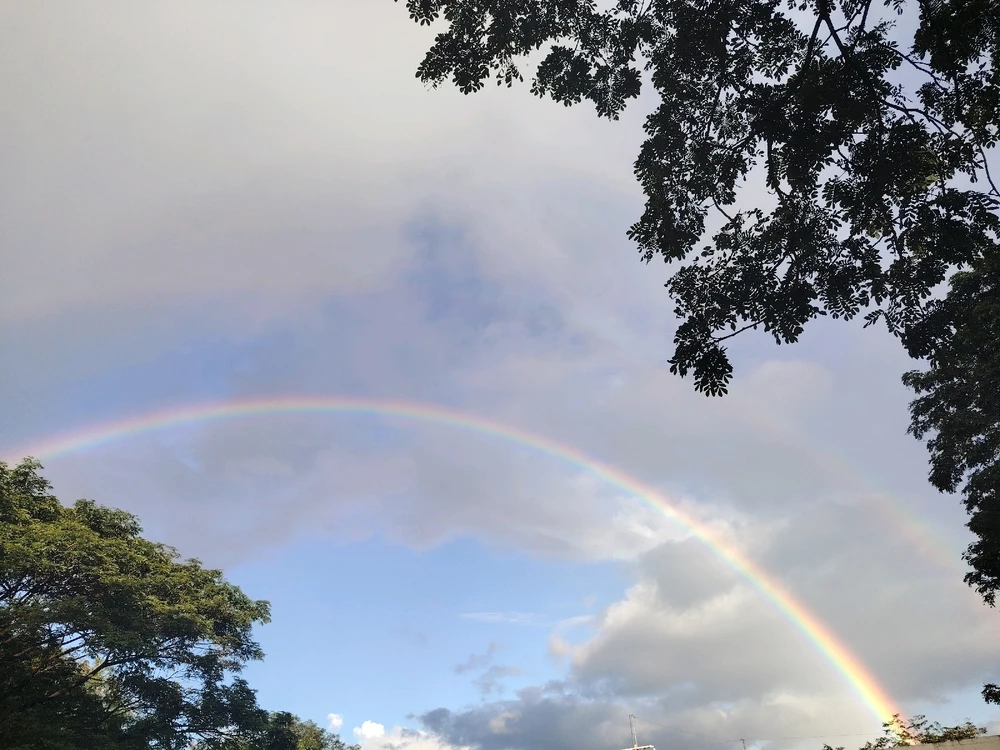 Image uploaded by Love