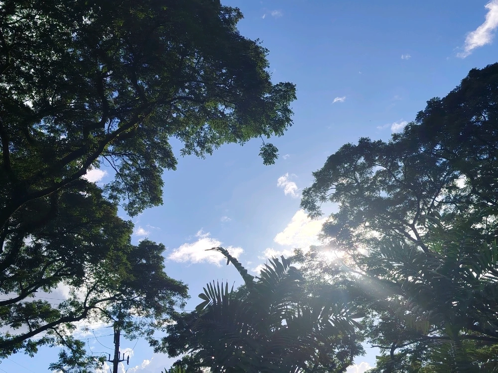 Image uploaded by Love