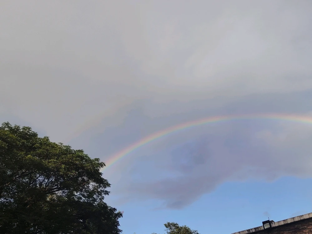 Image uploaded by Love