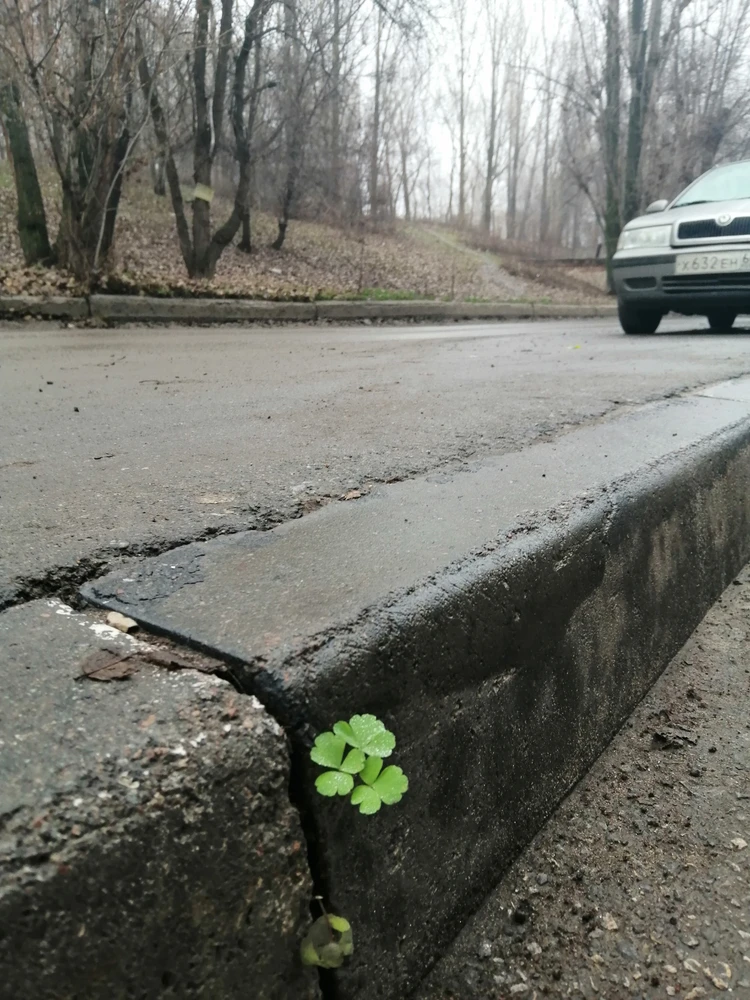 Фото загрузил Ina