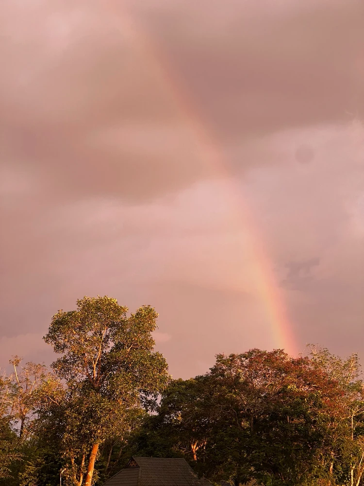 GIF uploaded by Sawd