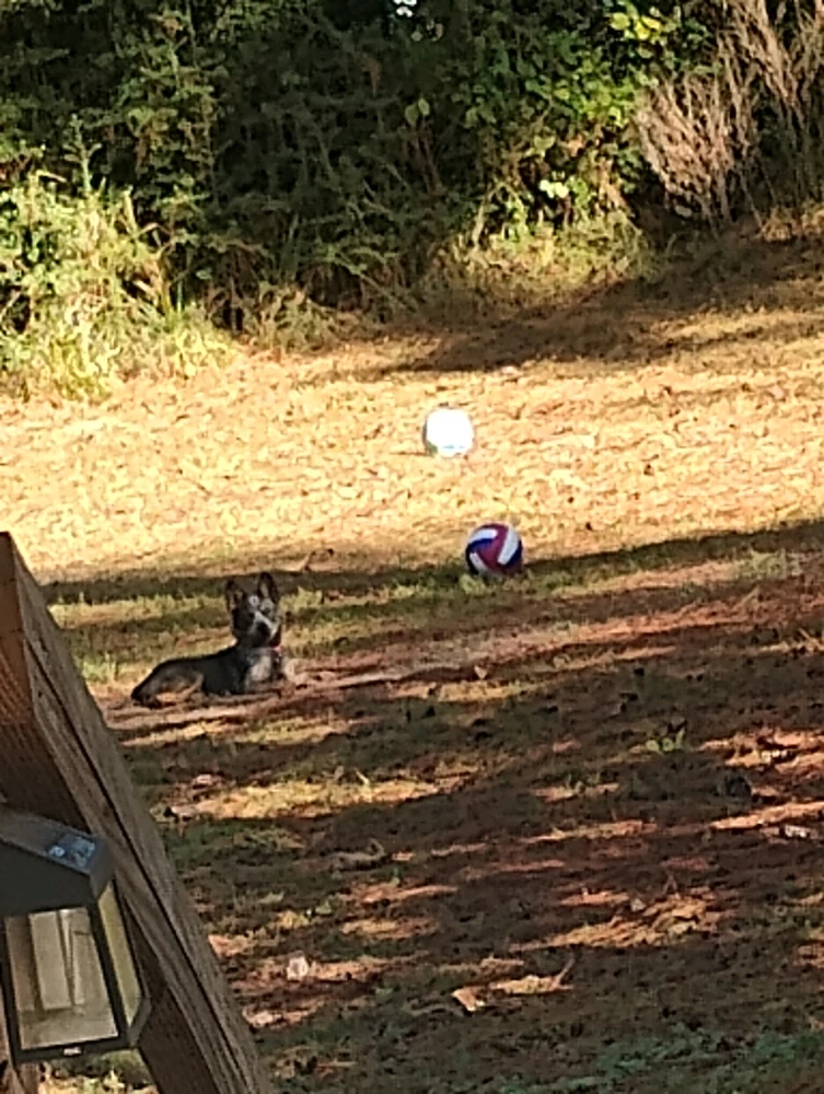 GIF uploaded by Kassie