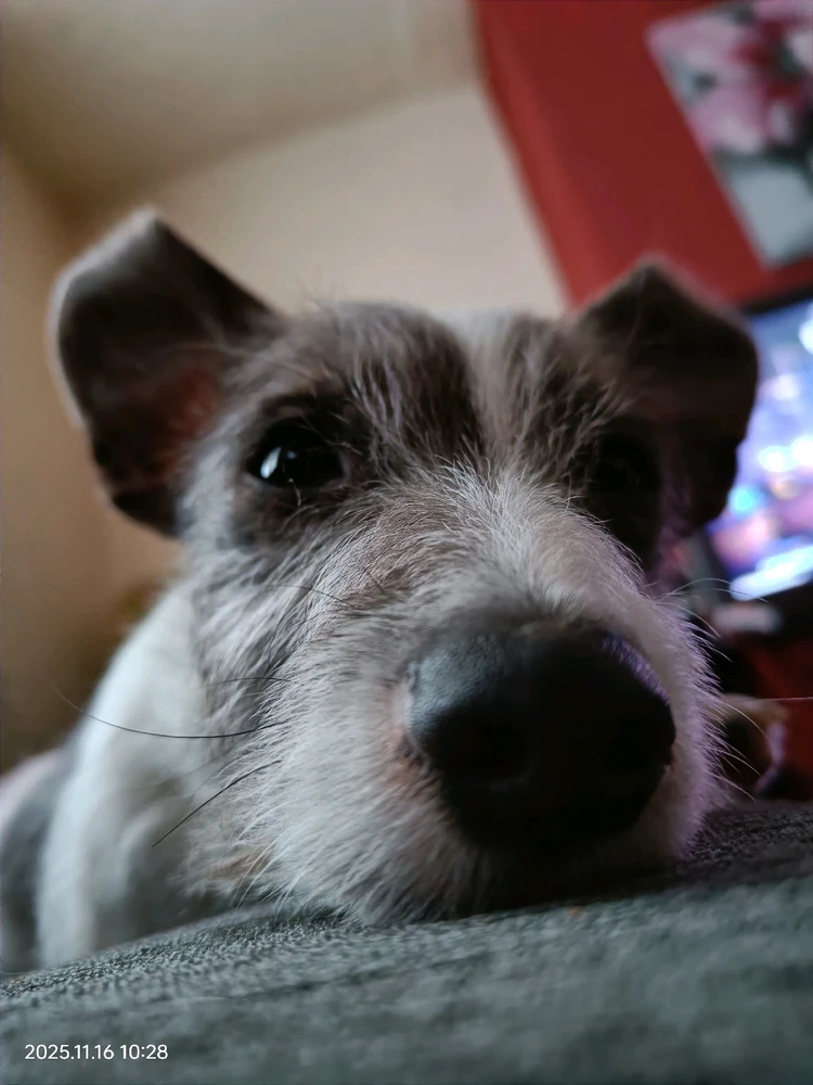 GIF uploaded by Charli