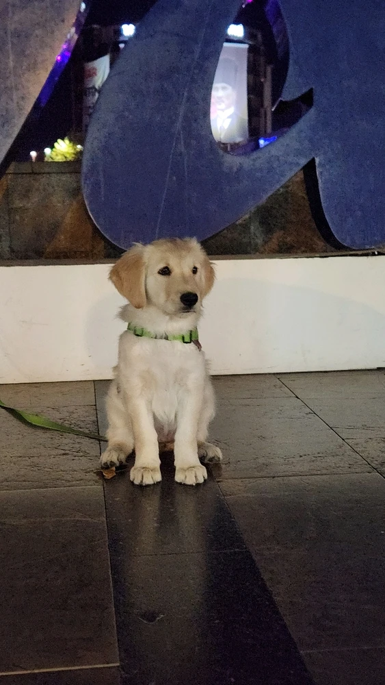 Fatih tarafından yüklenen GIF