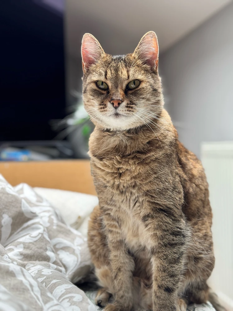 Ádám által feltöltött kép