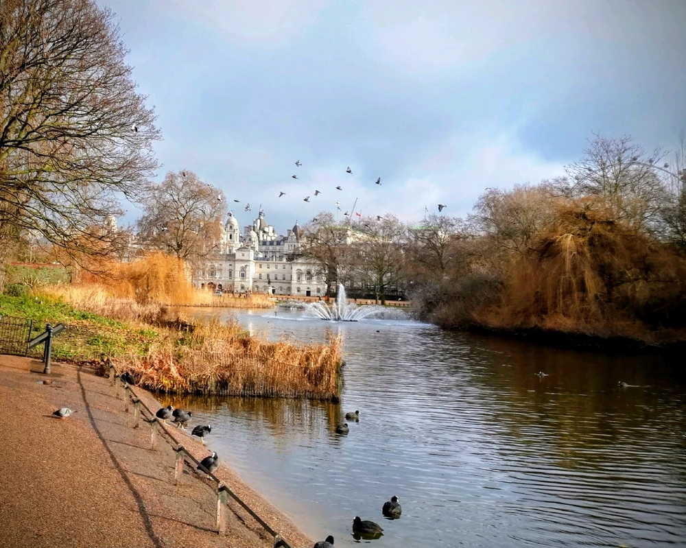 GIF enviado por Kelly