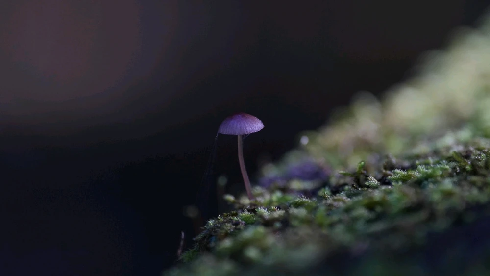 GIF uploaded by David