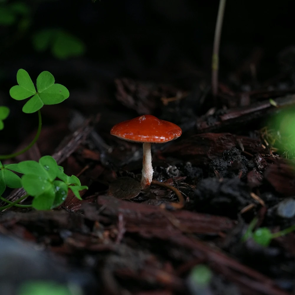 GIF uploaded by David