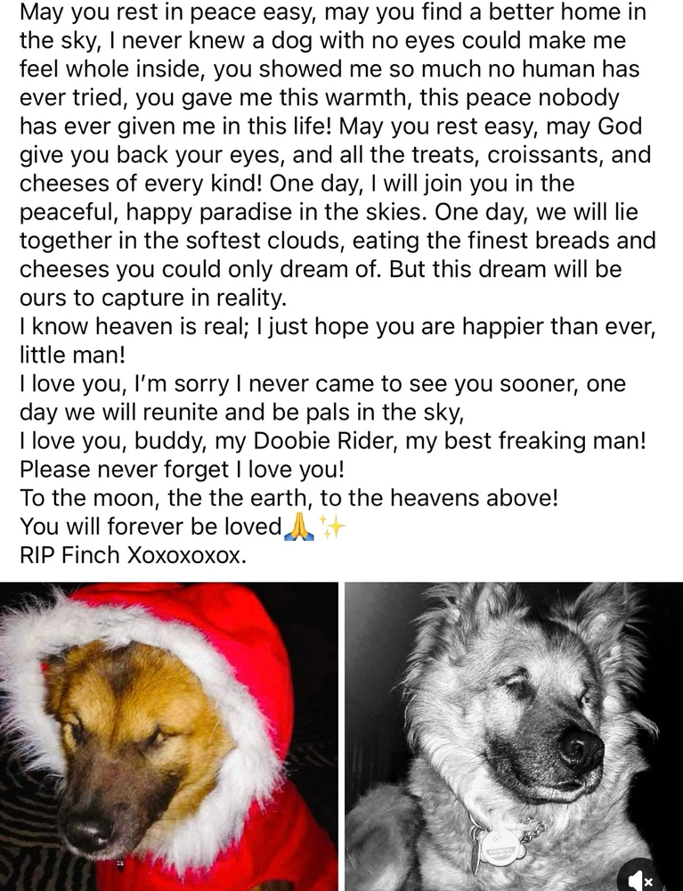 GIF uploaded by Jenní