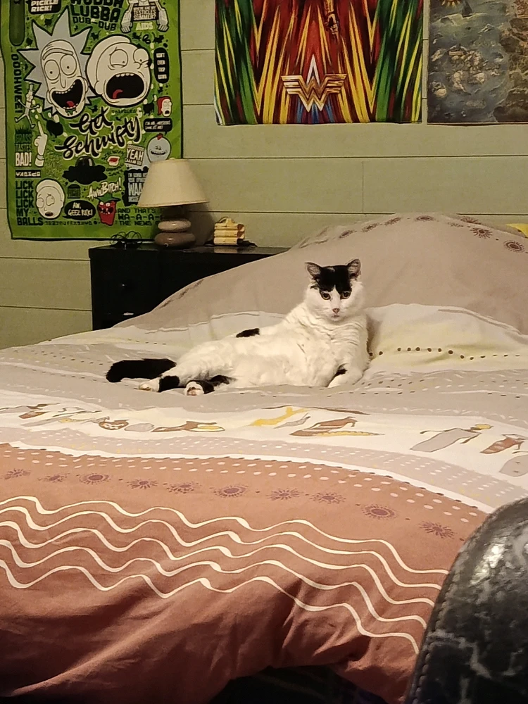 GIF ajouté par Charles