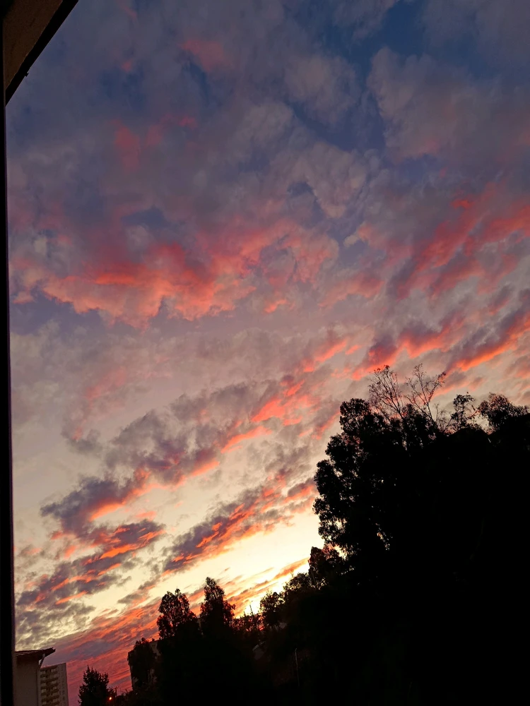 GIF subido por Lizzie