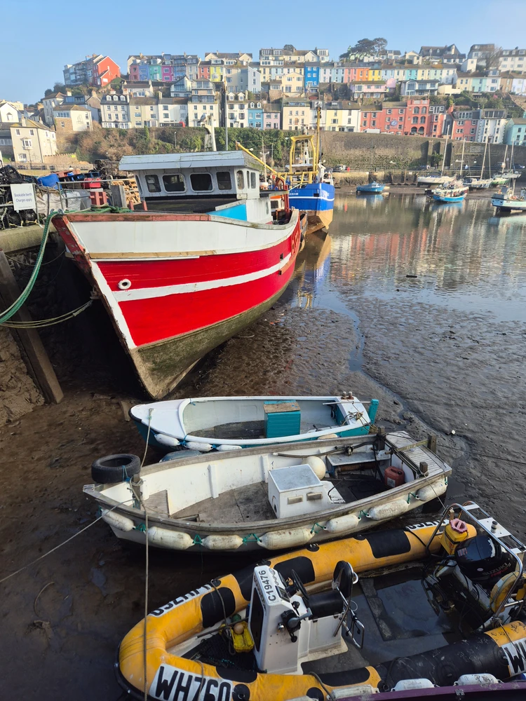 Image uploaded by Chris