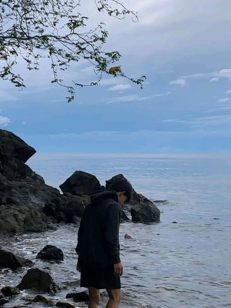 GIF diunggah oleh Viroo