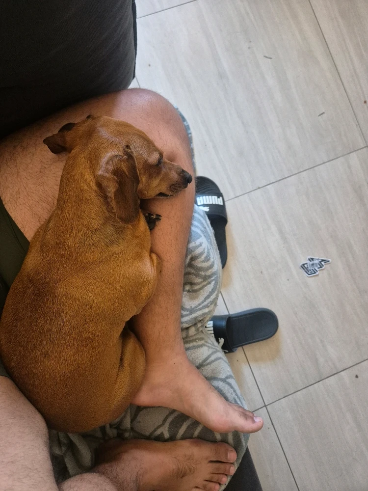 GIF enviado por Romulo