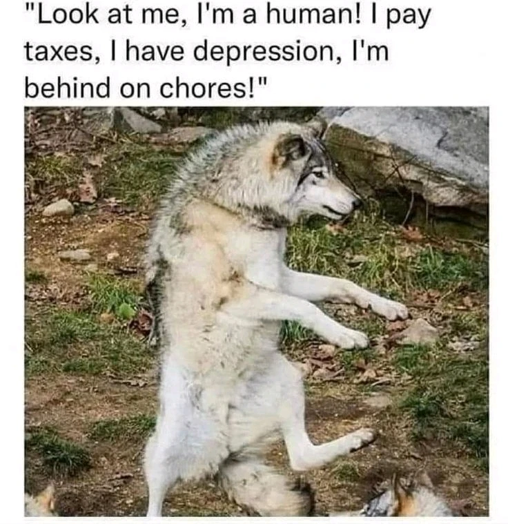 GIF uploaded by Merry Mary