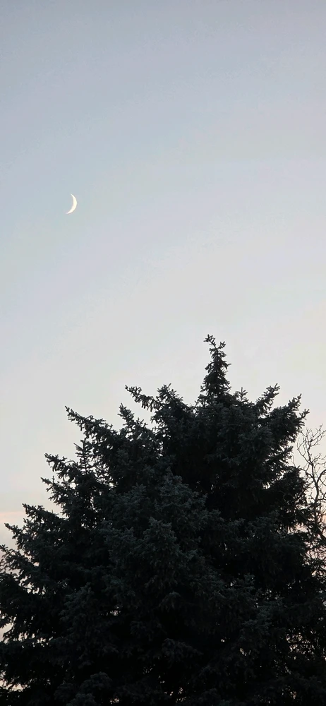 GIF uploaded by Amanda