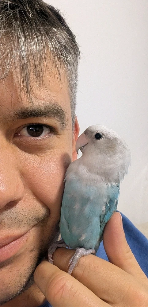 GIF diunggah dening Haiser