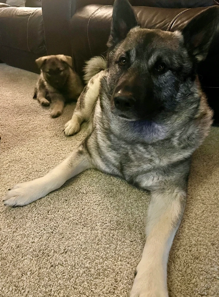 GIF uploaded by Samuel