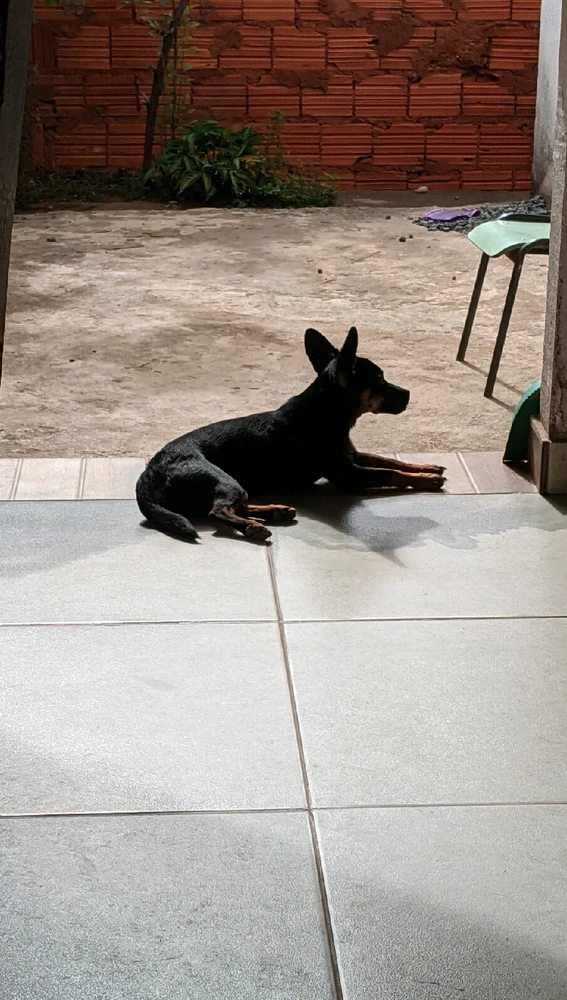 Imagem enviada por Jennifer