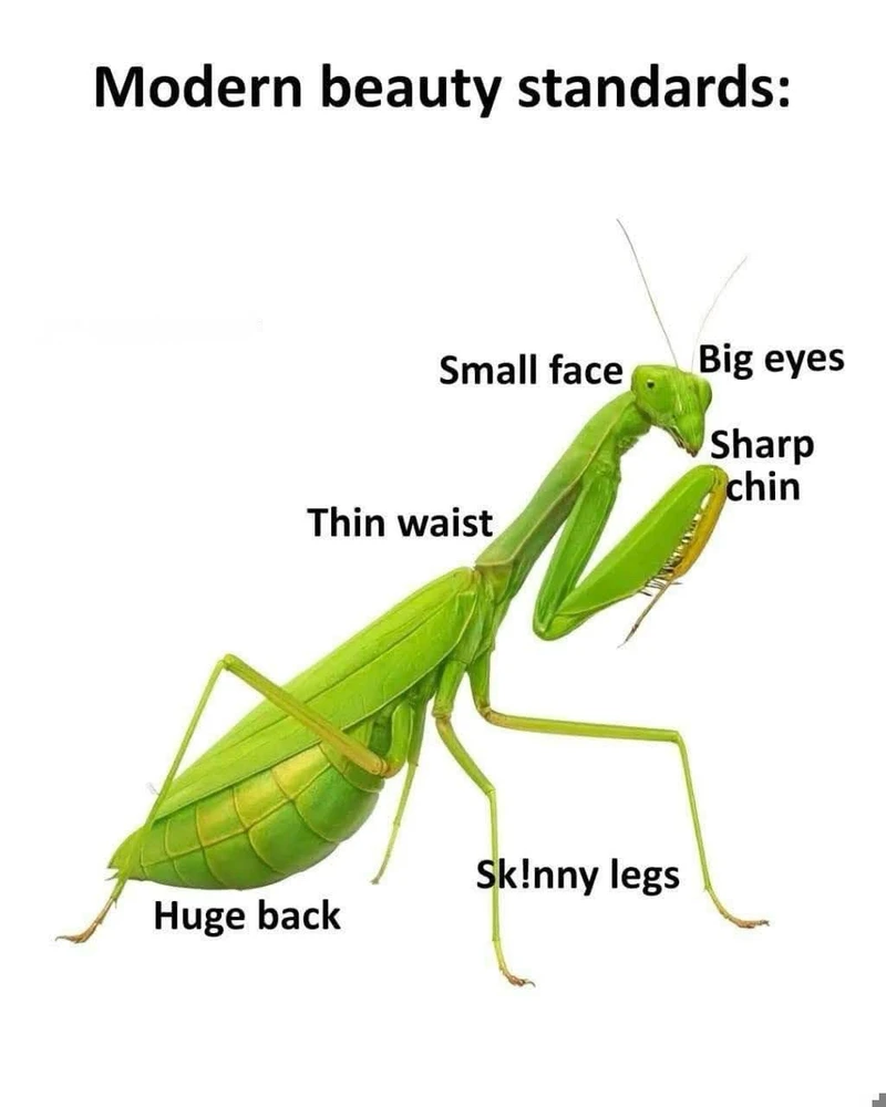 GIF uploaded by Kristine