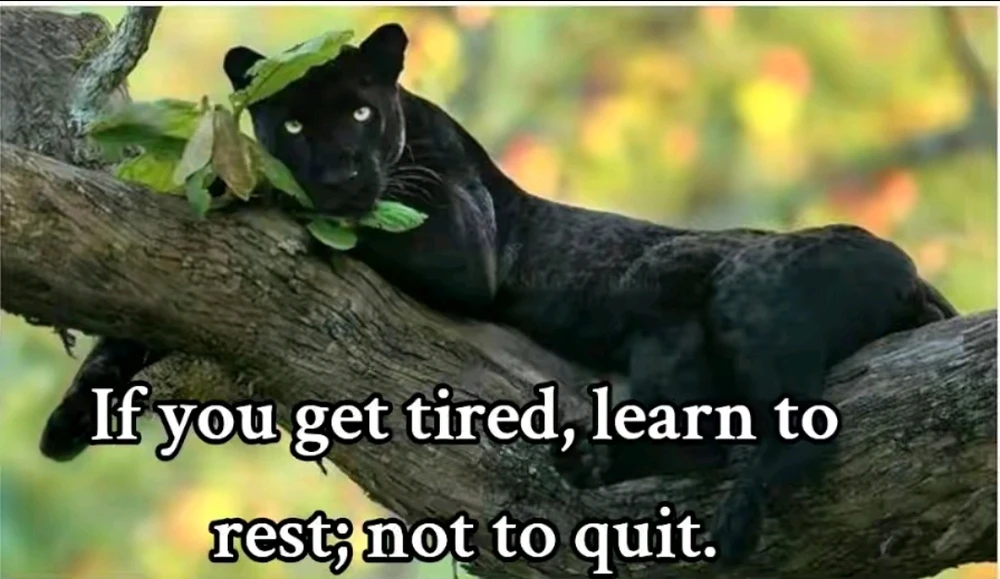 GIF uploaded by Maggie