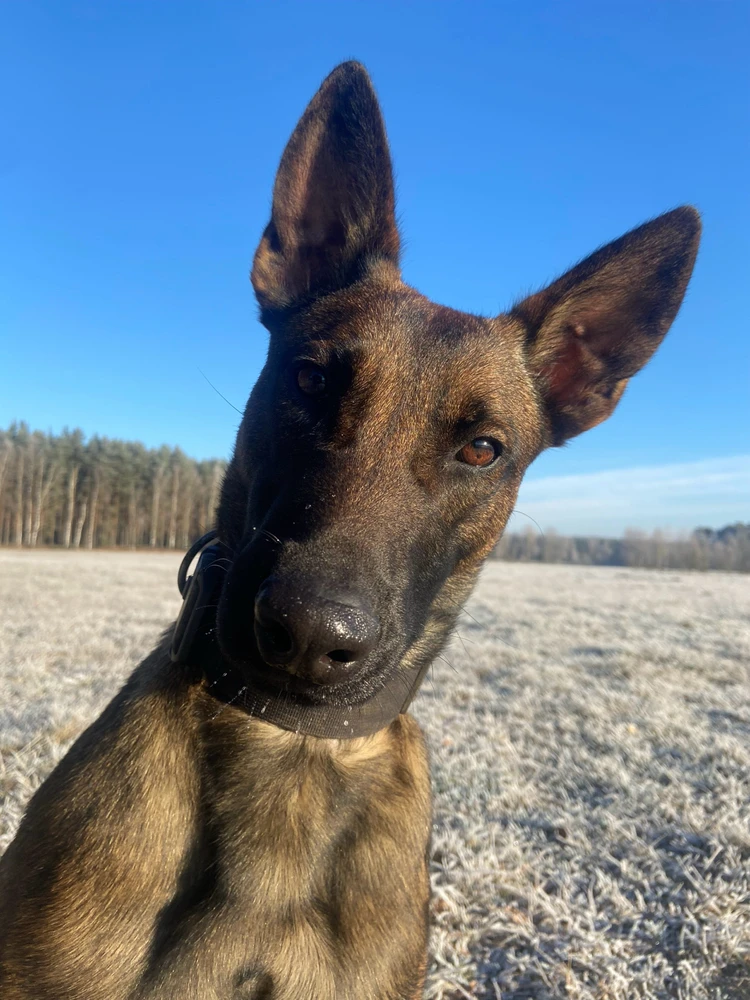 GIF dodany przez Władysław