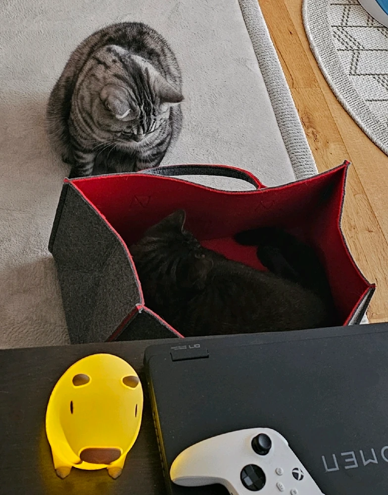 GIF hochgeladen von đđđ€đ€đđđ