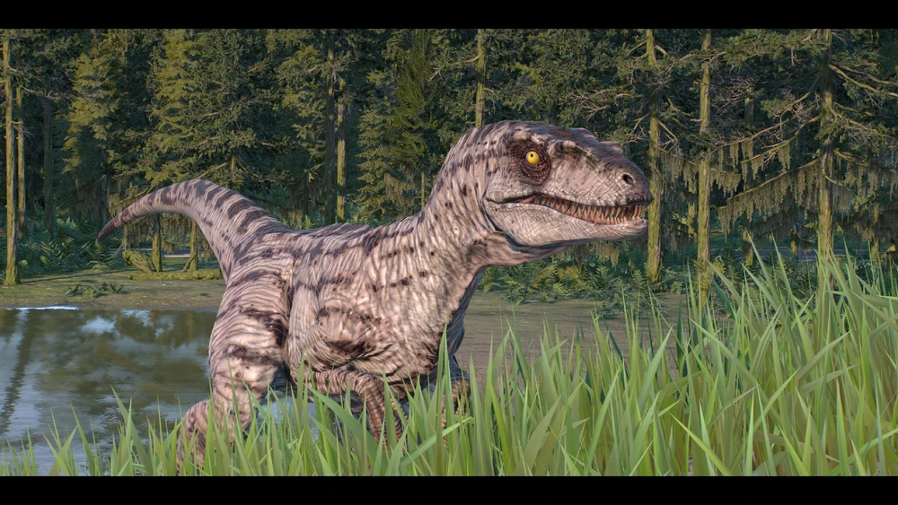 Imagen subida por Alan