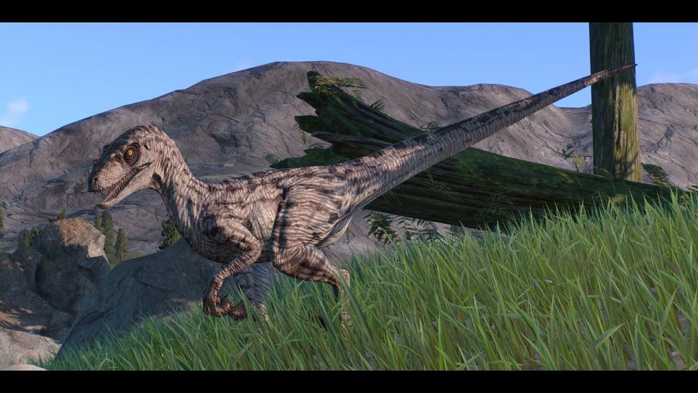 Imagen subida por Alan