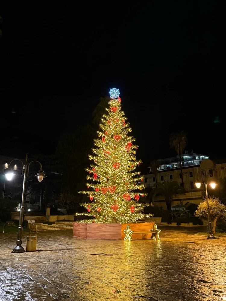 Lovely Budvan Christmas tree