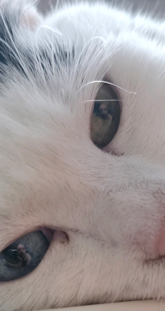 Obrázek nahrál Radek