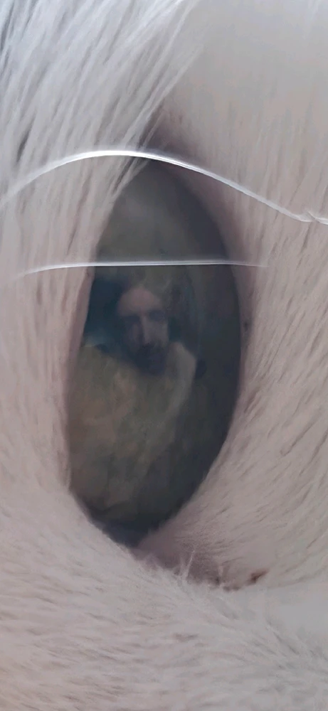 Obrázek nahrál Radek