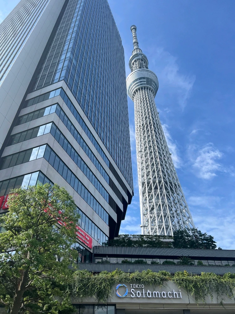 No pude subirlo antes