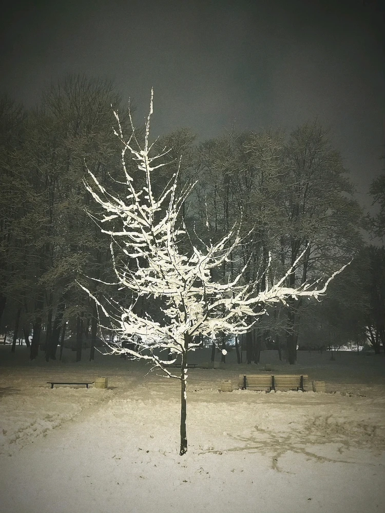 Фото загрузил Андрей