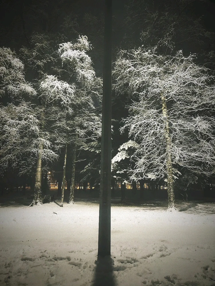 Фото загрузил Андрей