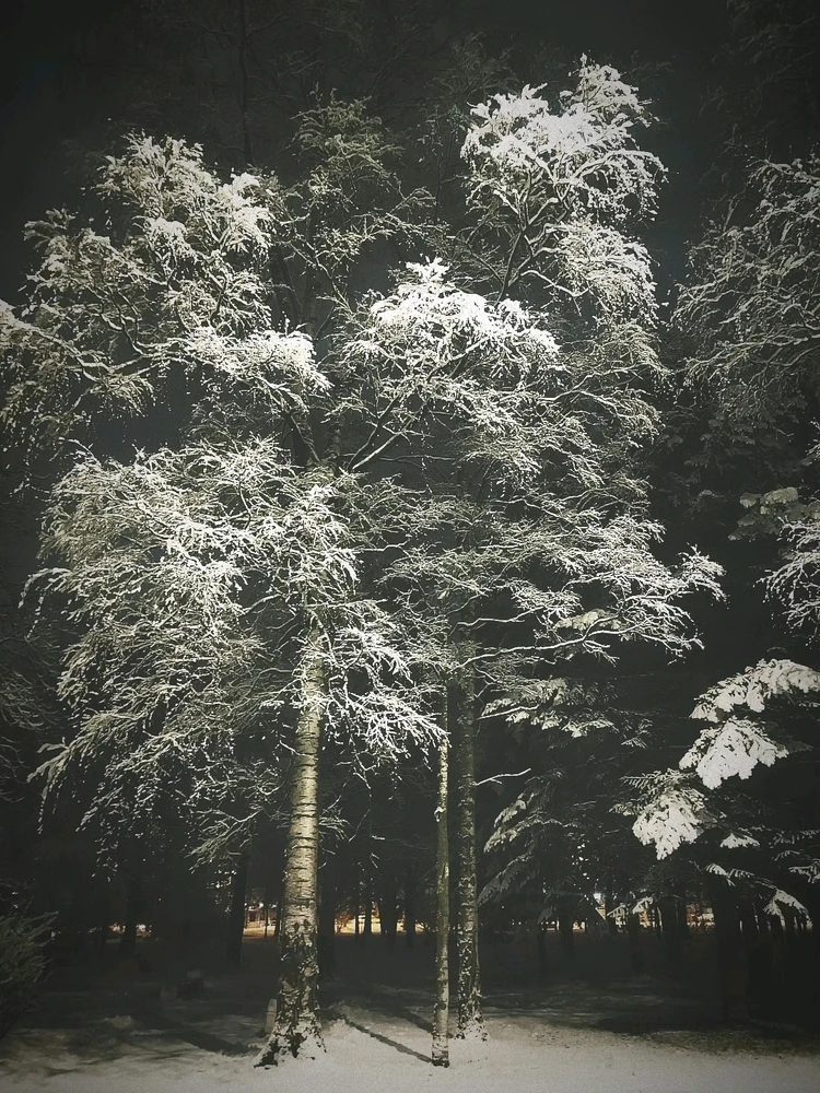 Фото загрузил Андрей