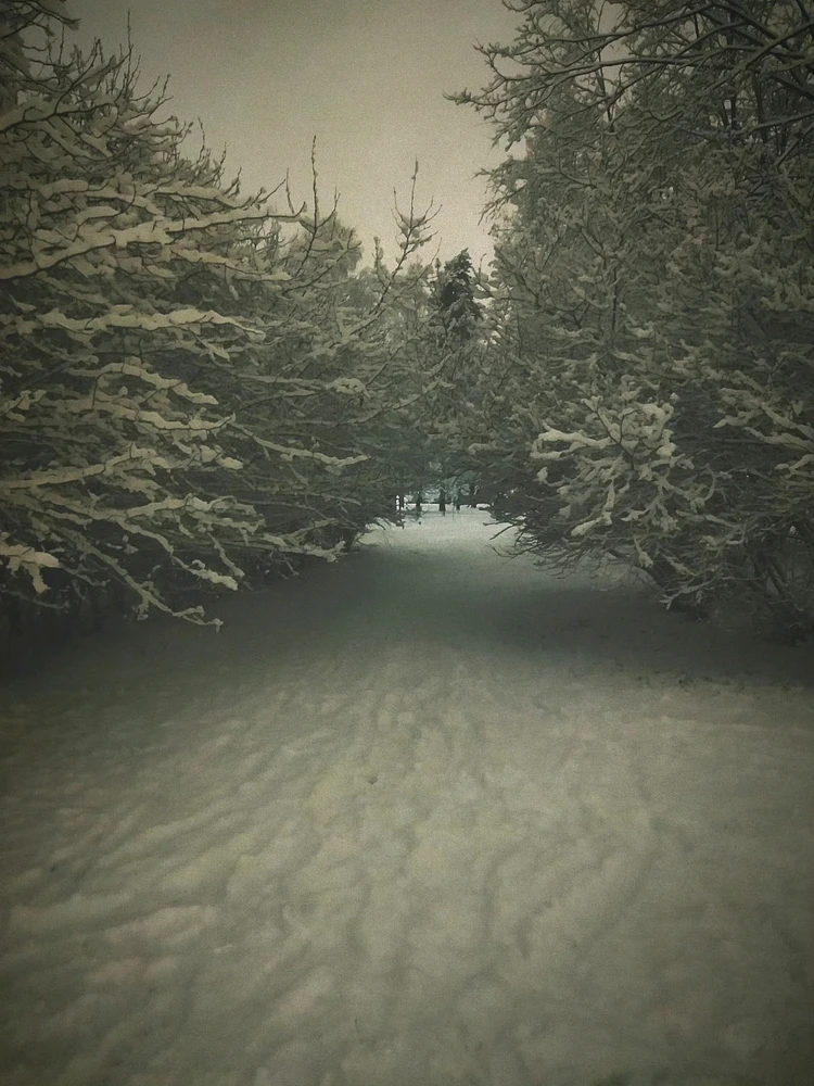 Фото загрузил Андрей