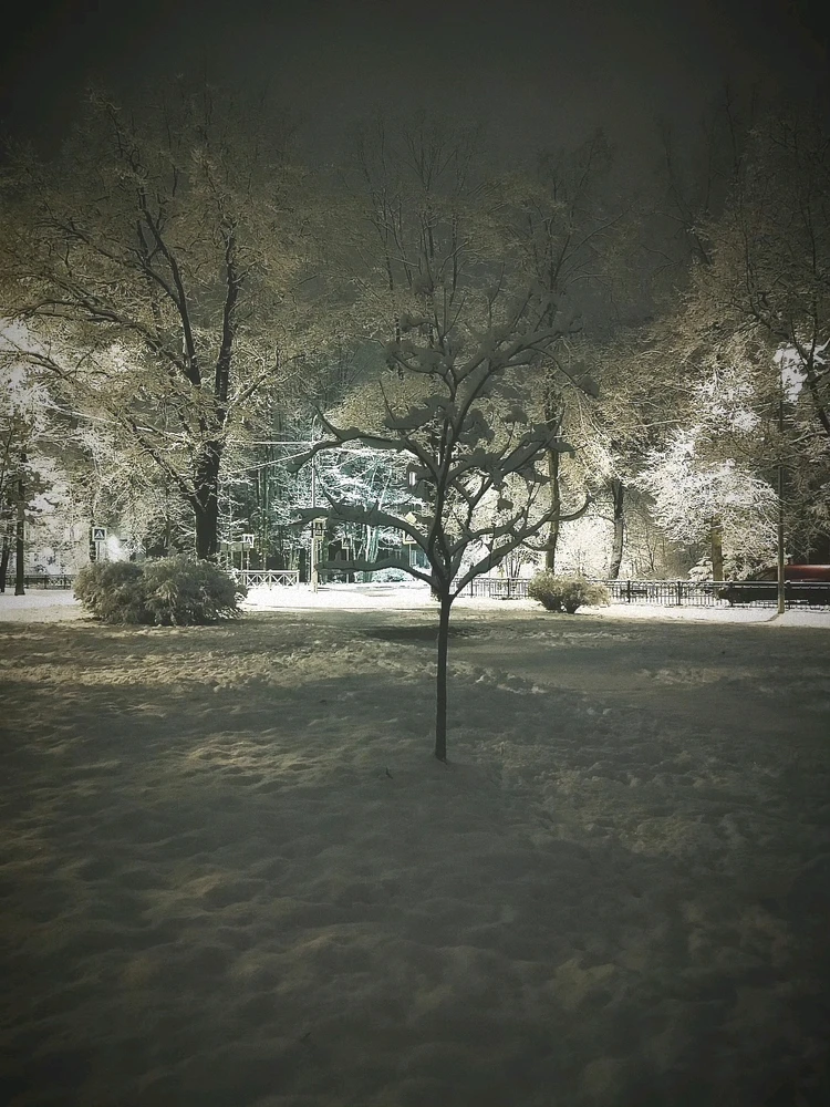 Фото загрузил Андрей