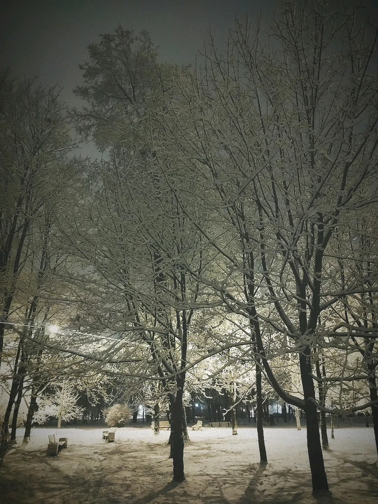 Фото загрузил Андрей