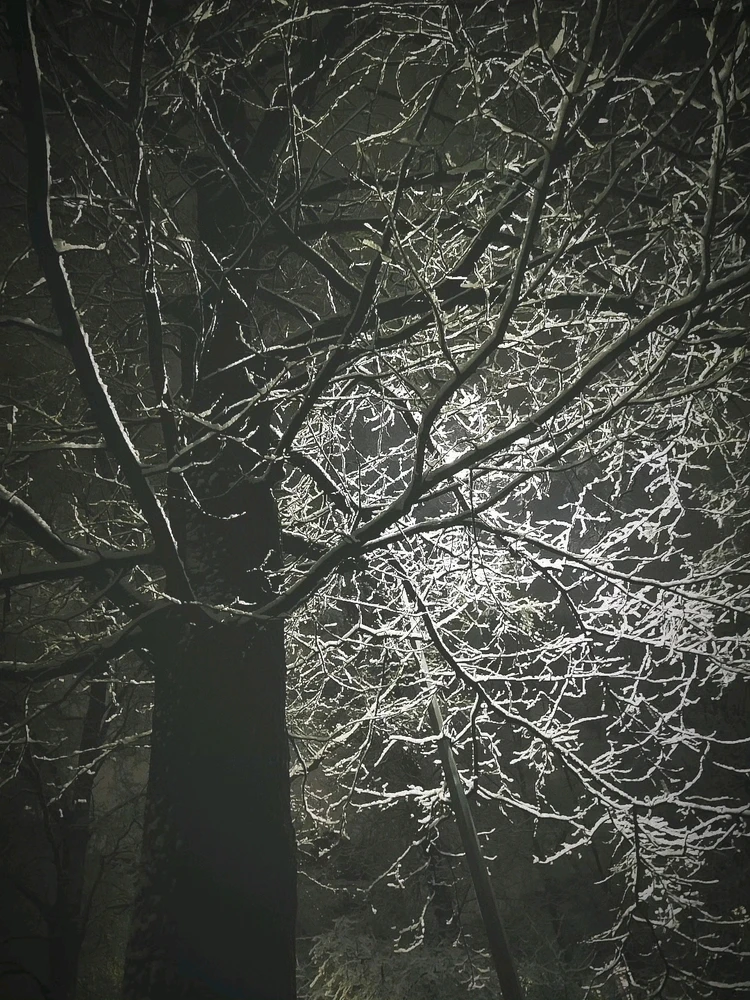 Фото загрузил Андрей