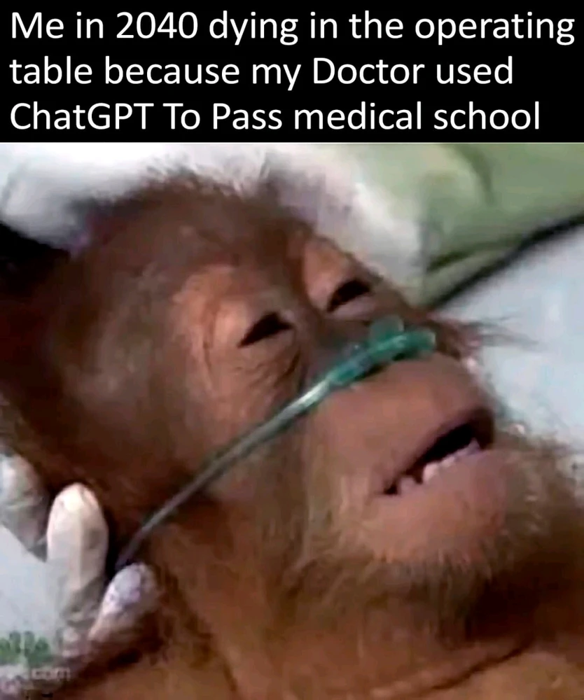 GIF uploaded by Ronen