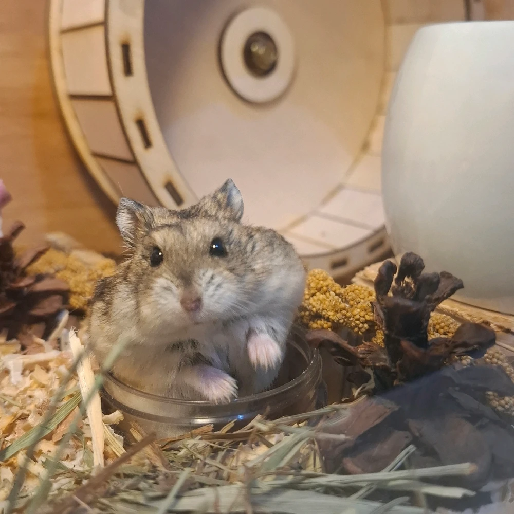 Image uploaded by Linda