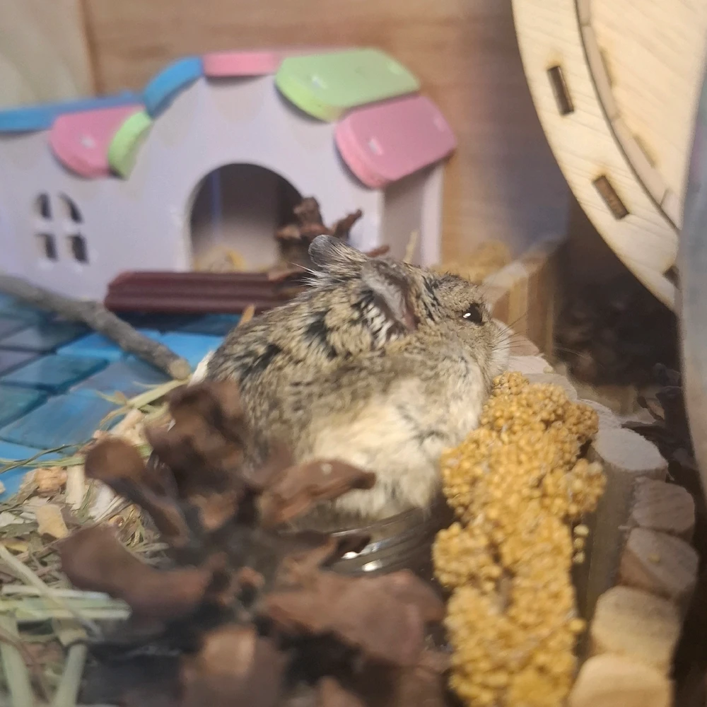 Image uploaded by Linda