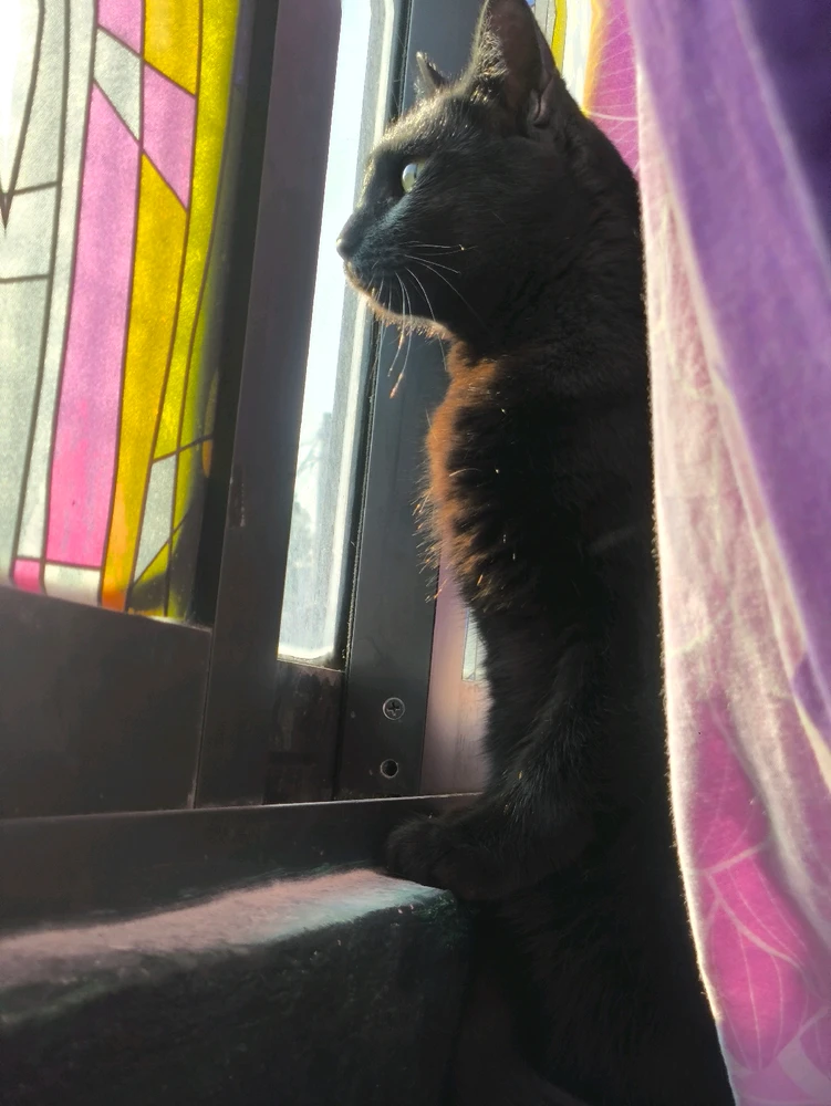 GIF subido por Alberto gonzalez