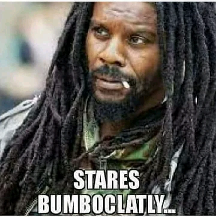 Image uploaded by Stazi