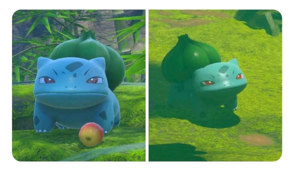 Image uploaded by Stazi